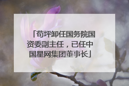 苟坪卸任国务院国资委副主任，已任中国星网集团董事长