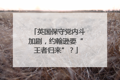 英国保守党内斗加剧，约翰逊要“王者归来”？