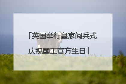 英国举行皇家阅兵式庆祝国王官方生日