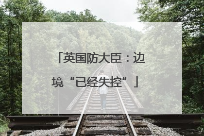 英国防大臣：边境“已经失控”