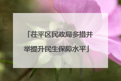茌平区民政局多措并举提升民生保障水平