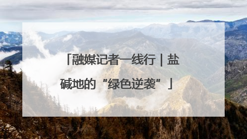 融媒记者一线行｜盐碱地的“绿色逆袭”