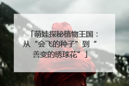 萌娃探秘植物王国：从“会飞的种子”到“善变的绣球花”