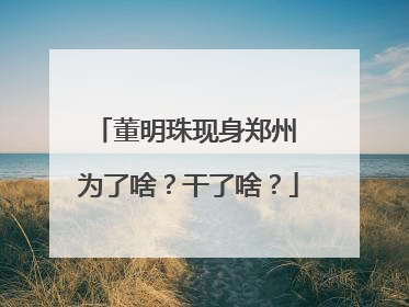 董明珠现身郑州 为了啥？干了啥？