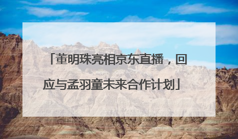 董明珠亮相京东直播，回应与孟羽童未来合作计划