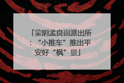 蒙阴孟良崮派出所：“小推车”推出平安好“枫”景