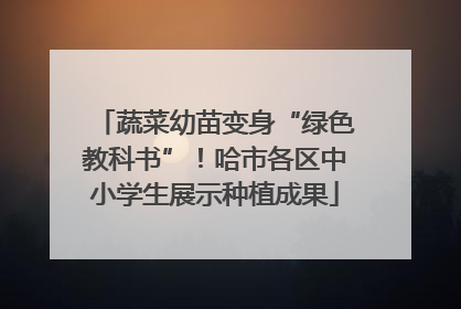 蔬菜幼苗变身“绿色教科书”！哈市各区中小学生展示种植成果