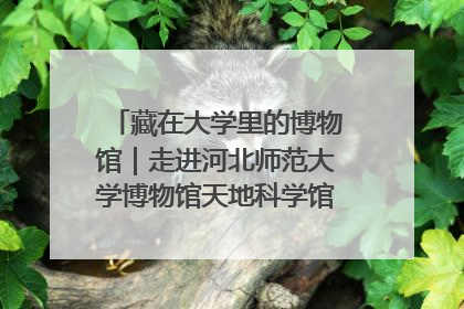 藏在大学里的博物馆｜走进河北师范大学博物馆天地科学馆：在校园里赴一场“宇宙之约”