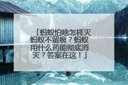 蚂蚁怕啥怎样灭蚂蚁不留痕？蚂蚁用什么药能彻底消灭？答案在这！