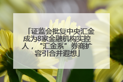 证监会批复中央汇金成为8家金融机构实控人，“汇金系”券商扩容引合并遐想