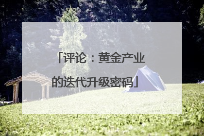 评论：黄金产业的迭代升级密码