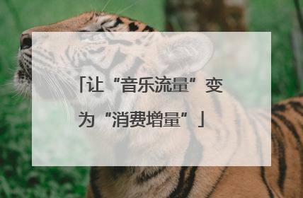 让“音乐流量”变为“消费增量”