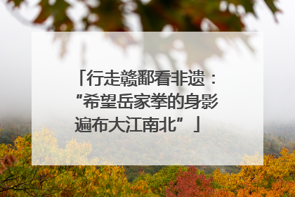 行走赣鄱看非遗：“希望岳家拳的身影遍布大江南北”