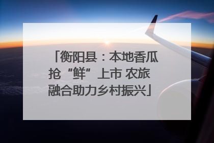 衡阳县：本地香瓜抢“鲜”上市 农旅融合助力乡村振兴
