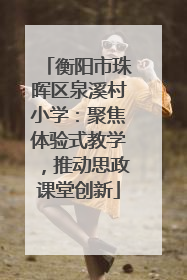衡阳市珠晖区泉溪村小学：聚焦体验式教学，推动思政课堂创新