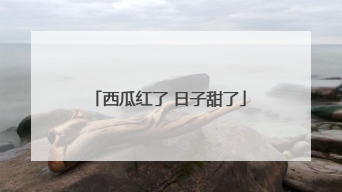 西瓜红了 日子甜了