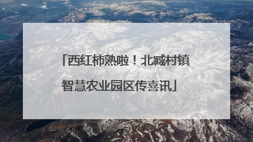 西红柿熟啦！北臧村镇智慧农业园区传喜讯