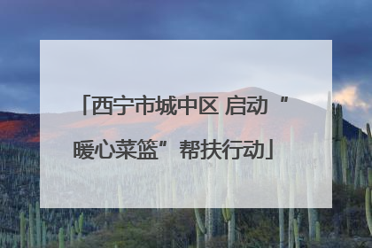 西宁市城中区 启动“暖心菜篮”帮扶行动
