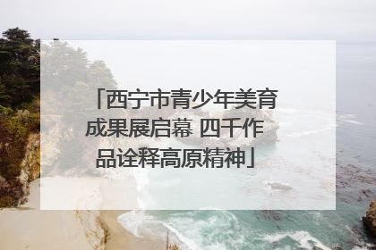 西宁市青少年美育成果展启幕 四千作品诠释高原精神