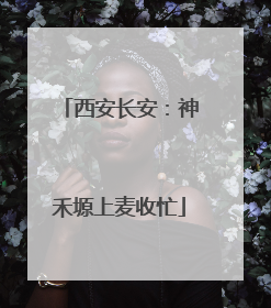 西安长安：神禾塬上麦收忙