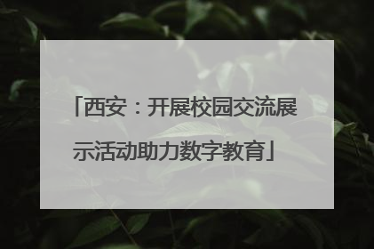 西安：开展校园交流展示活动助力数字教育