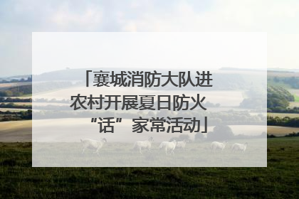 襄城消防大队进农村开展夏日防火“话”家常活动