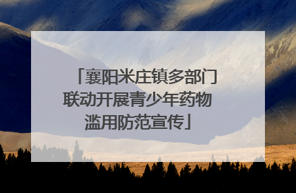 襄阳米庄镇多部门联动开展青少年药物滥用防范宣传