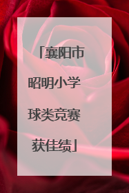 襄阳市昭明小学球类竞赛获佳绩