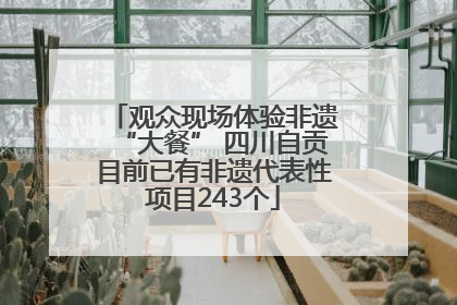观众现场体验非遗“大餐” 四川自贡目前已有非遗代表性项目243个