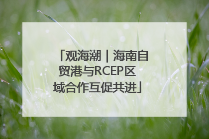 观海潮｜海南自贸港与RCEP区域合作互促共进