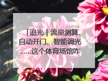 追光｜流量测算、自动开门、智能调光……这个体育场馆咋这么先进？