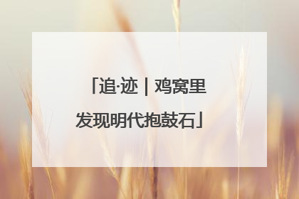 追·迹｜鸡窝里发现明代抱鼓石