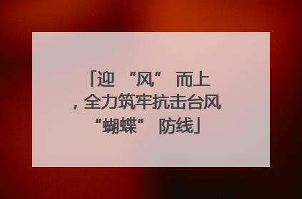 迎 “风” 而上，全力筑牢抗击台风 “蝴蝶” 防线