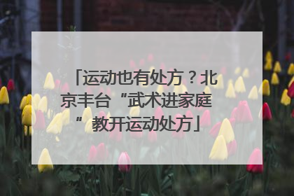 运动也有处方？北京丰台“武术进家庭”教开运动处方