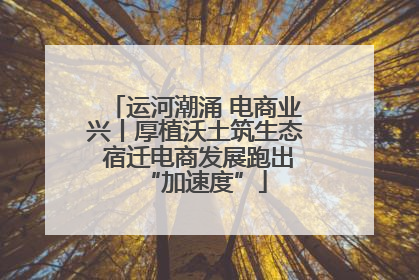 运河潮涌 电商业兴丨厚植沃土筑生态 宿迁电商发展跑出“加速度”