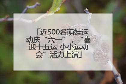 近500名萌娃运动庆“六一”，“喜迎十五运 小小运动会”活力上演
