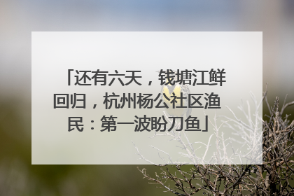 还有六天，钱塘江鲜回归，杭州杨公社区渔民：第一波盼刀鱼