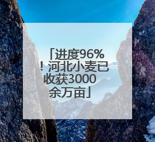 进度96%！河北小麦已收获3000余万亩