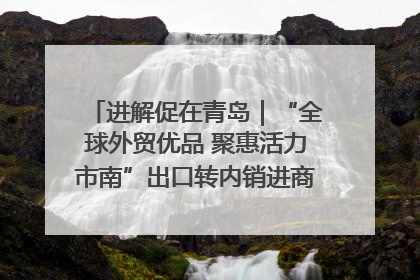 进解促在青岛｜“全球外贸优品 聚惠活力市南”出口转内销进商超专场活动启动
