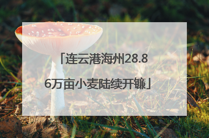 连云港海州28.86万亩小麦陆续开镰