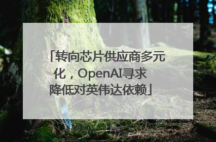 转向芯片供应商多元化，OpenAI寻求降低对英伟达依赖