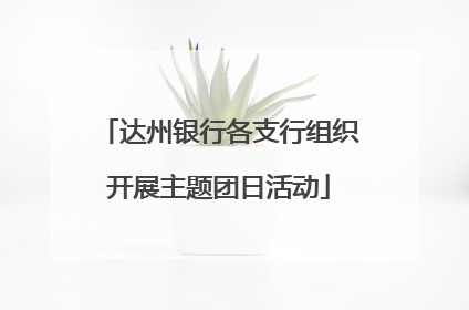 达州银行各支行组织开展主题团日活动