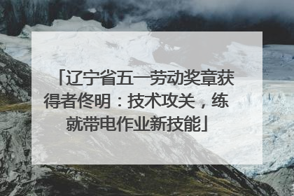 辽宁省五一劳动奖章获得者佟明：技术攻关，练就带电作业新技能
