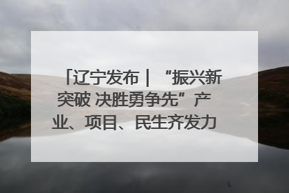辽宁发布｜“振兴新突破 决胜勇争先”产业、项目、民生齐发力 葫芦岛按下决胜之年“加速键”