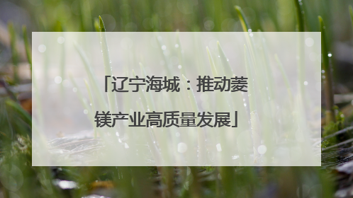 辽宁海城：推动菱镁产业高质量发展