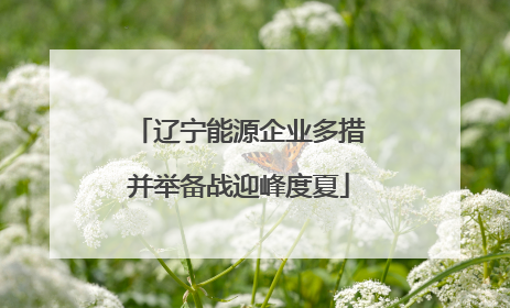 辽宁能源企业多措并举备战迎峰度夏