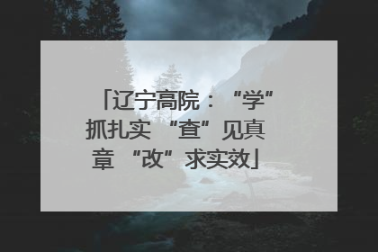 辽宁高院：“学”抓扎实 “查”见真章 “改”求实效