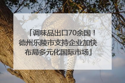 调味品出口70余国！德州乐陵市支持企业加快布局多元化国际市场