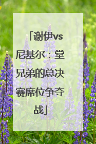 谢伊vs尼基尔：堂兄弟的总决赛席位争夺战