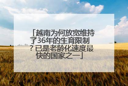 越南为何放宽维持了36年的生育限制？已是老龄化速度最快的国家之一
